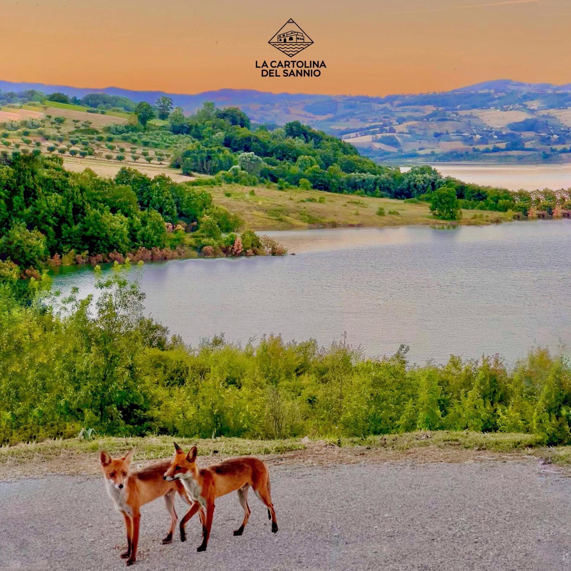 Campolattaro La Cartolina Del Sannio B&B 외부 사진